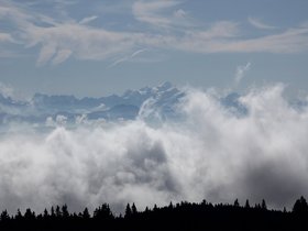 Mt Blanc vu du Grand Cunay.JPG